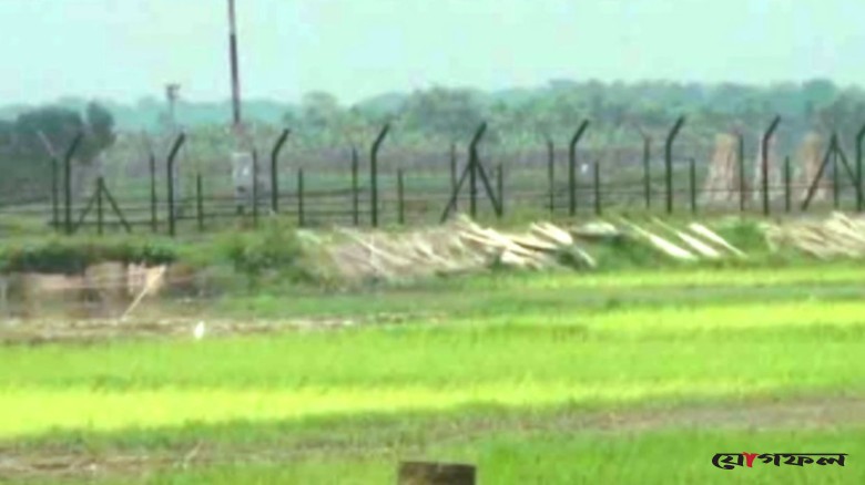 জীবননগর সীমান্তে বিএসএফের পুশইনে ৫ জন আটক
