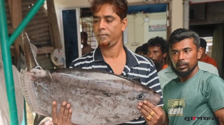 কুয়াকাটায় জেলের জালে বিরল ‘স্লেন্ডার সানফিশ’