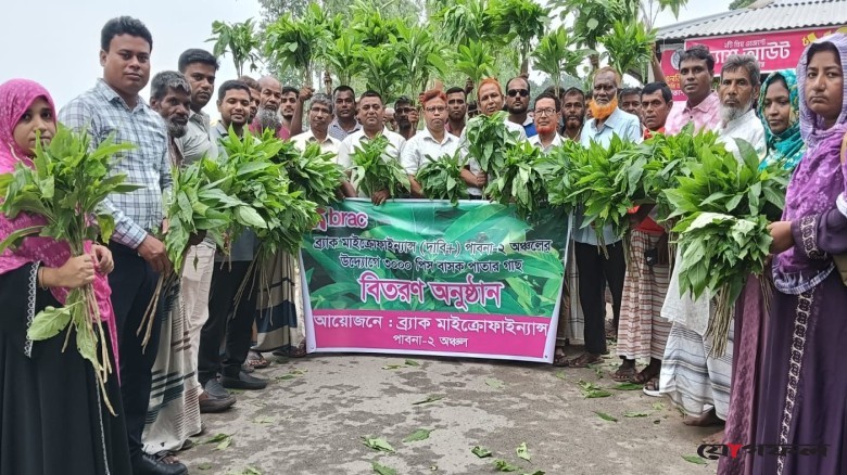 কুচিয়ামোড়ায় ১৫ হাজার বাসক চারা রোপণ করল ব্র্যাক