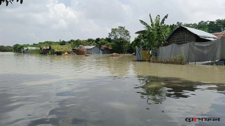 ফারাক্কার সব গেট খোলা, চাঁপাইনবাবগঞ্জে পানিবন্দি ৩ হাজার পরিবার