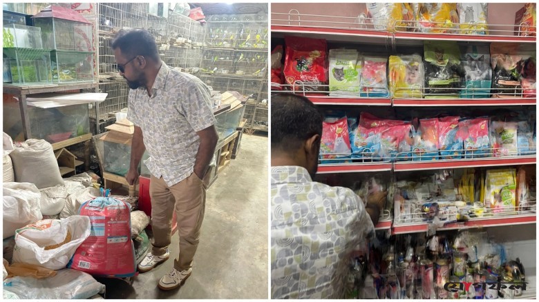 টংগী বাজারে পশুখাদ্য-ওষুধের দোকানে তদারকি, মেয়াদোত্তীর্ণ ওষুধ জব্দ