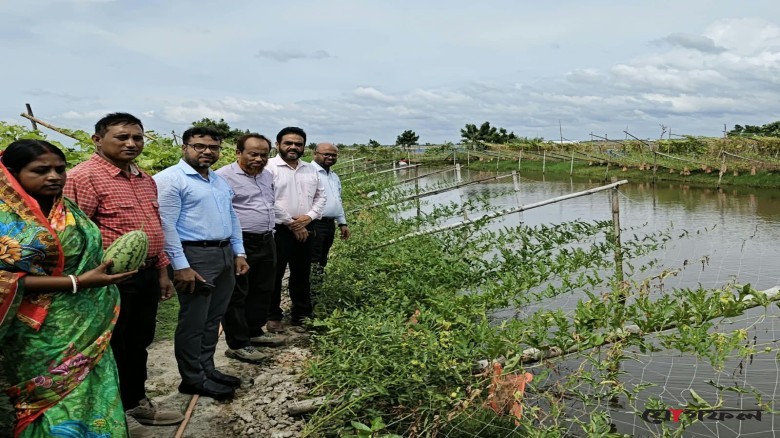 পাইকগাছায় অসময়ের তরমুজ চাষে কৃষকের সাফল্য